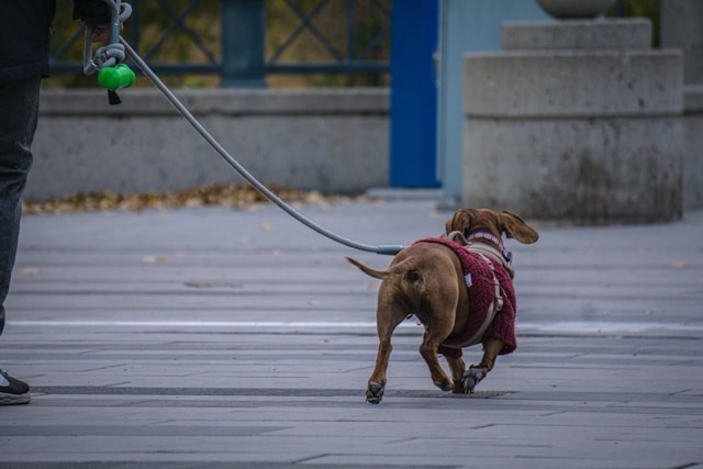 �U�����錢